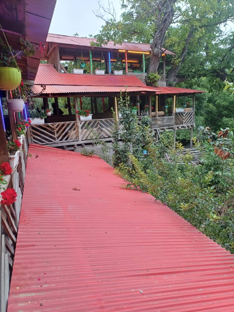 گالری تصاویر